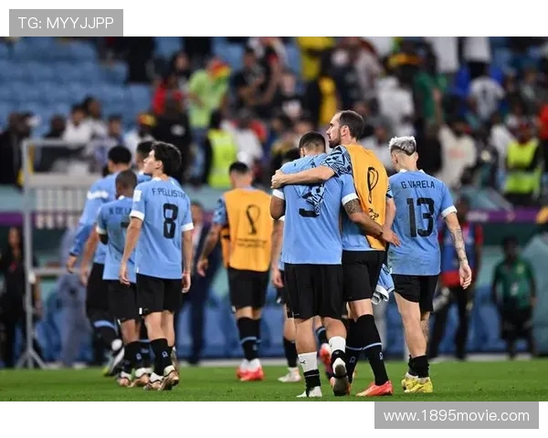 世界杯期间球迷行为数据对精准营销贡献